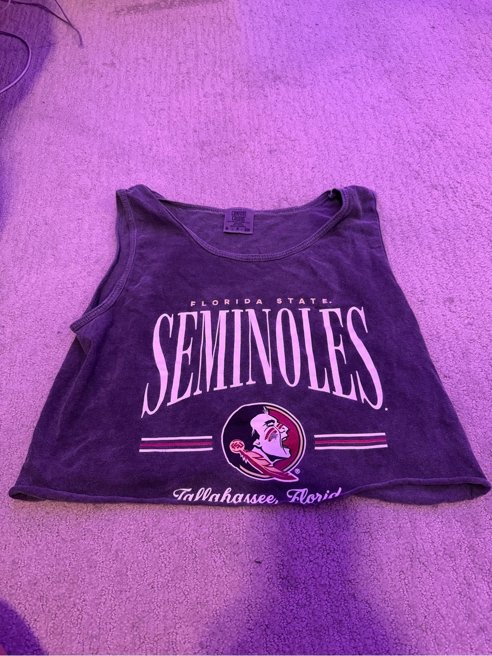 Comfort Colors Purple Florida State Graphic Tank